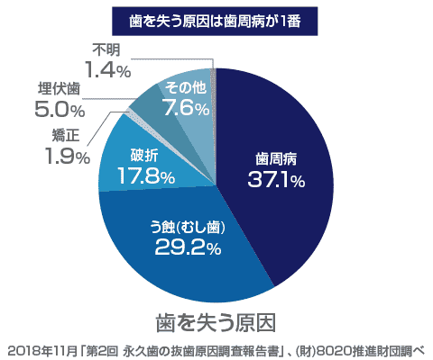 歯を失う原因の第1位は歯周病