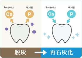 再石灰化の促進